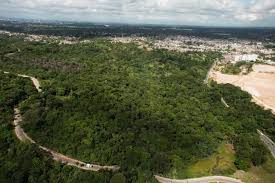 Paulista vai implementar parques e trilhas ecológicas para proteção das áreas de preservação