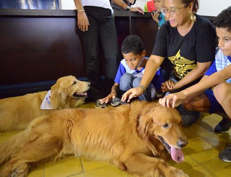 Cães adestrados ajudam estudantes com deficiências
