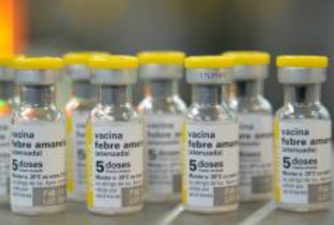 Saiba os cuidados necessários ao se vacinar contra a febre amarela