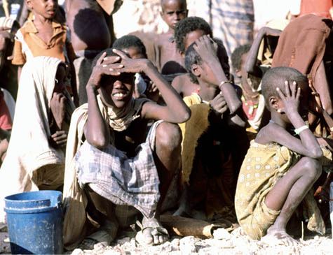 FAO: mais de 113 milhões de pessoas sofrem com fome extrema