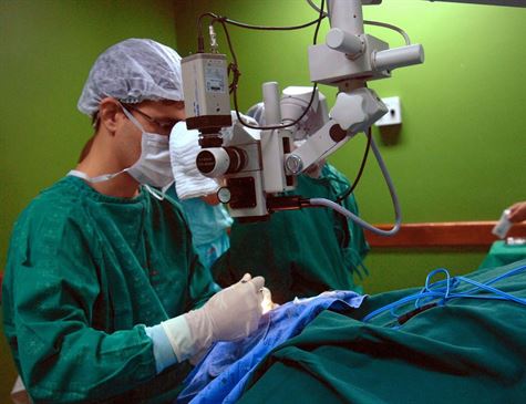 No Brasil, a taxa de infecções hospitalares atinge 14% das internações