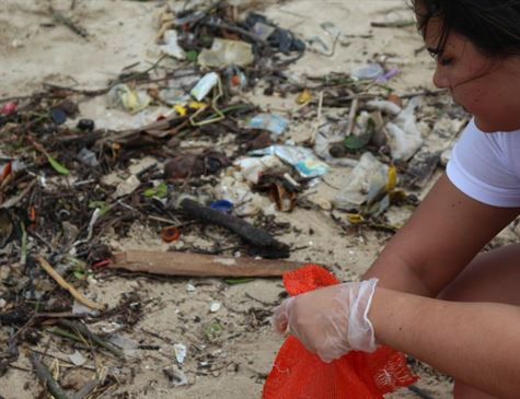 Voluntários recolhem lixo na praia do Janga