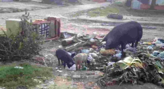 População de Paulista denuncia falta de coleta de lixo