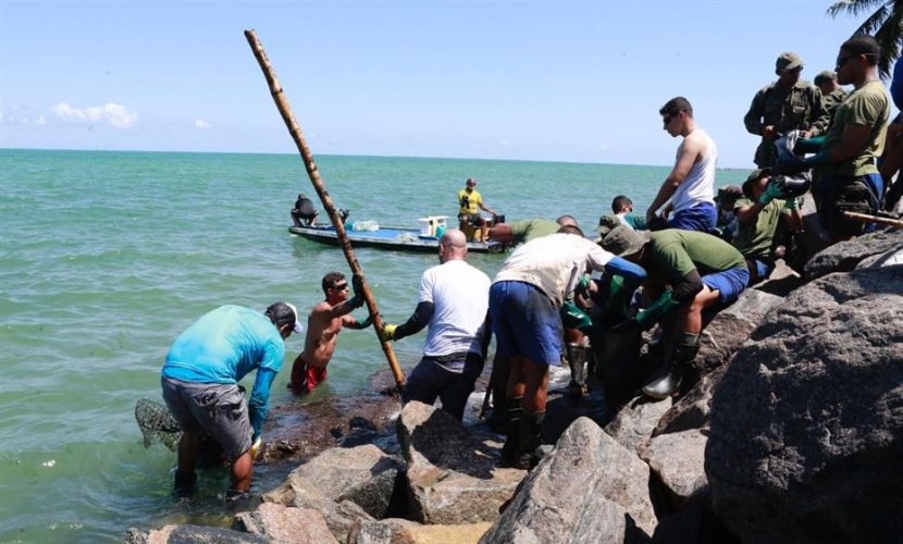 Óleo chega à Praia do Janga, no Litoral Norte, e peixes são encontrados mortos