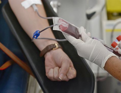 Lei garante meia-entrada a doadores de sangue e medula óssea em Pernambuco