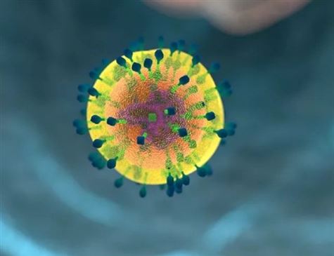 Brasil registra nove casos de suspeita de coronavírus