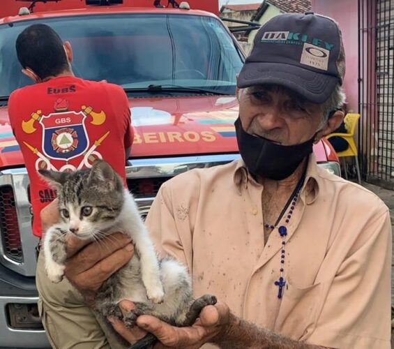 Bombeiros quebram calçada para resgatar gato em Paulista