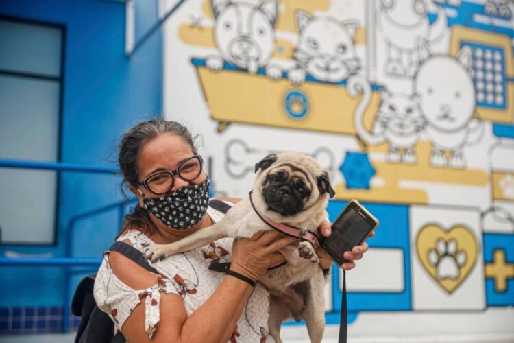 Hospital Veterinário do Recife realiza castrações gratuitas de cães e gatos