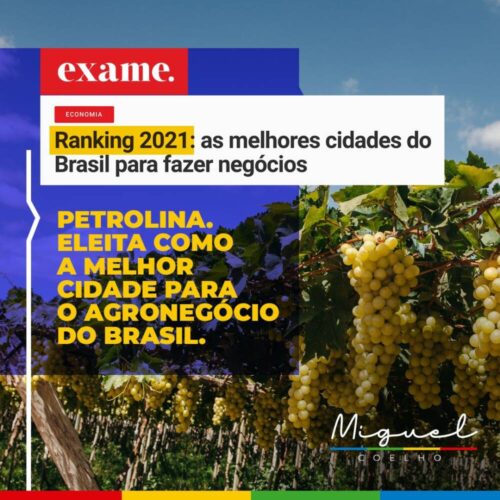 Petrolina é a melhor cidade para o agronegócio no Brasil.