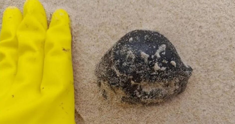Quantidade de óleo encontrada nas praias sobe para sete toneladas em Pernambuco