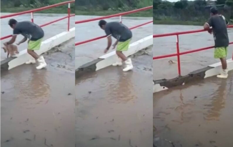 Homem é preso por crueldade contra animais após jogar cachorro na correnteza de um riacho no Sertão