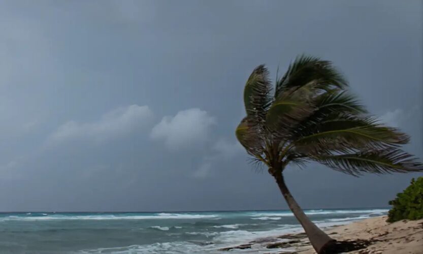 Apac emite alerta laranja para Mata Sul; outras regiões de Pernambuco também terão chuva